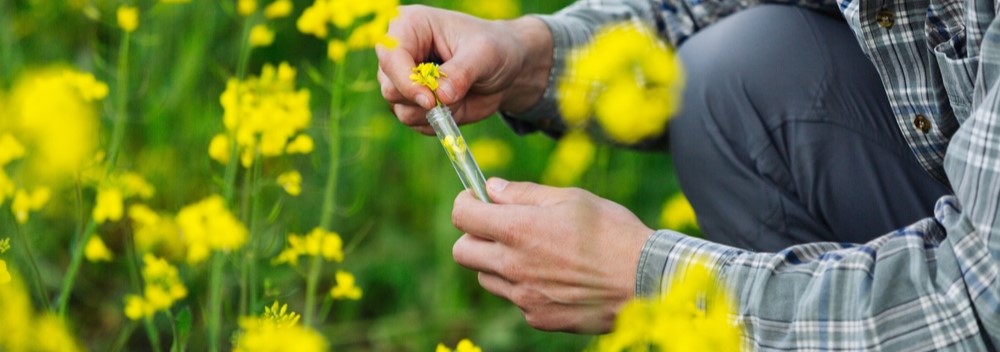 Agroquimicos